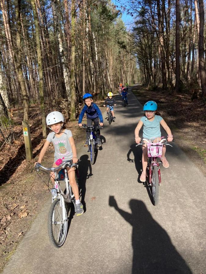 B&B Crijbohoeve Zutendaal Eksteriør bilde