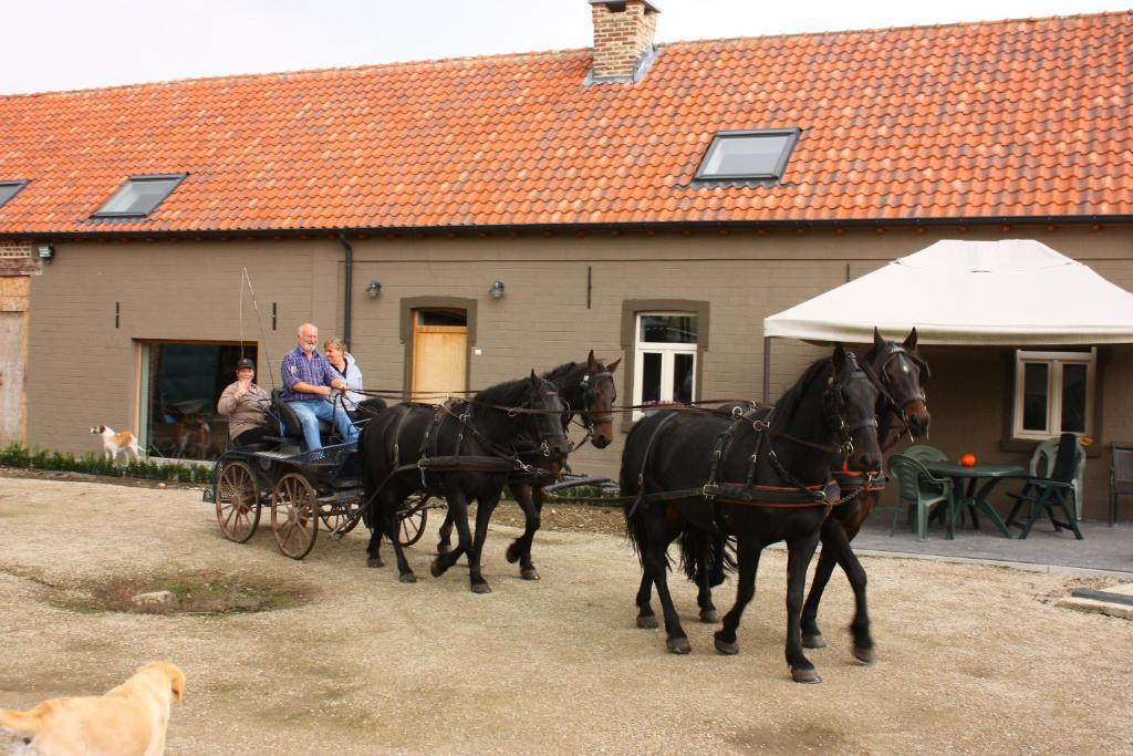 B&B Crijbohoeve Zutendaal Eksteriør bilde